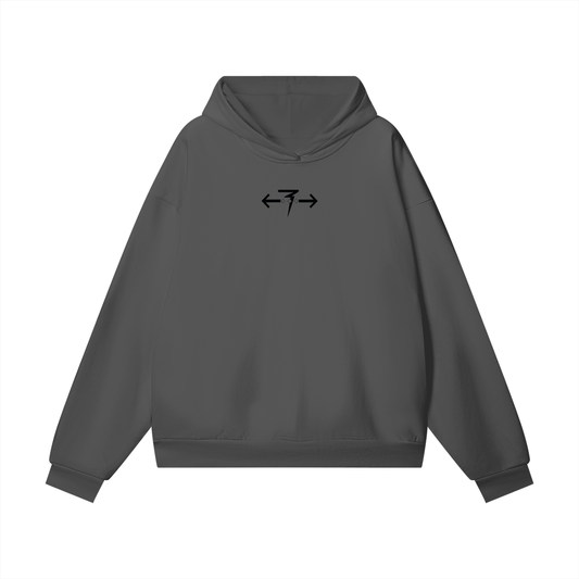 MISSING DISK? Hoodie