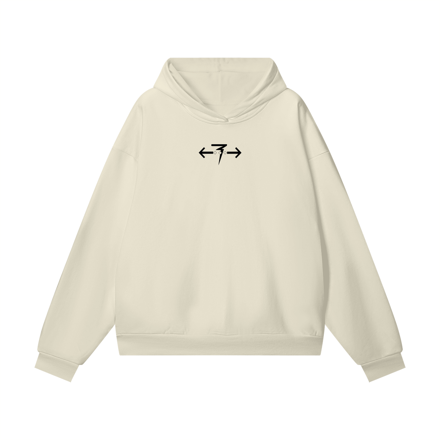MISSING DISK? Hoodie